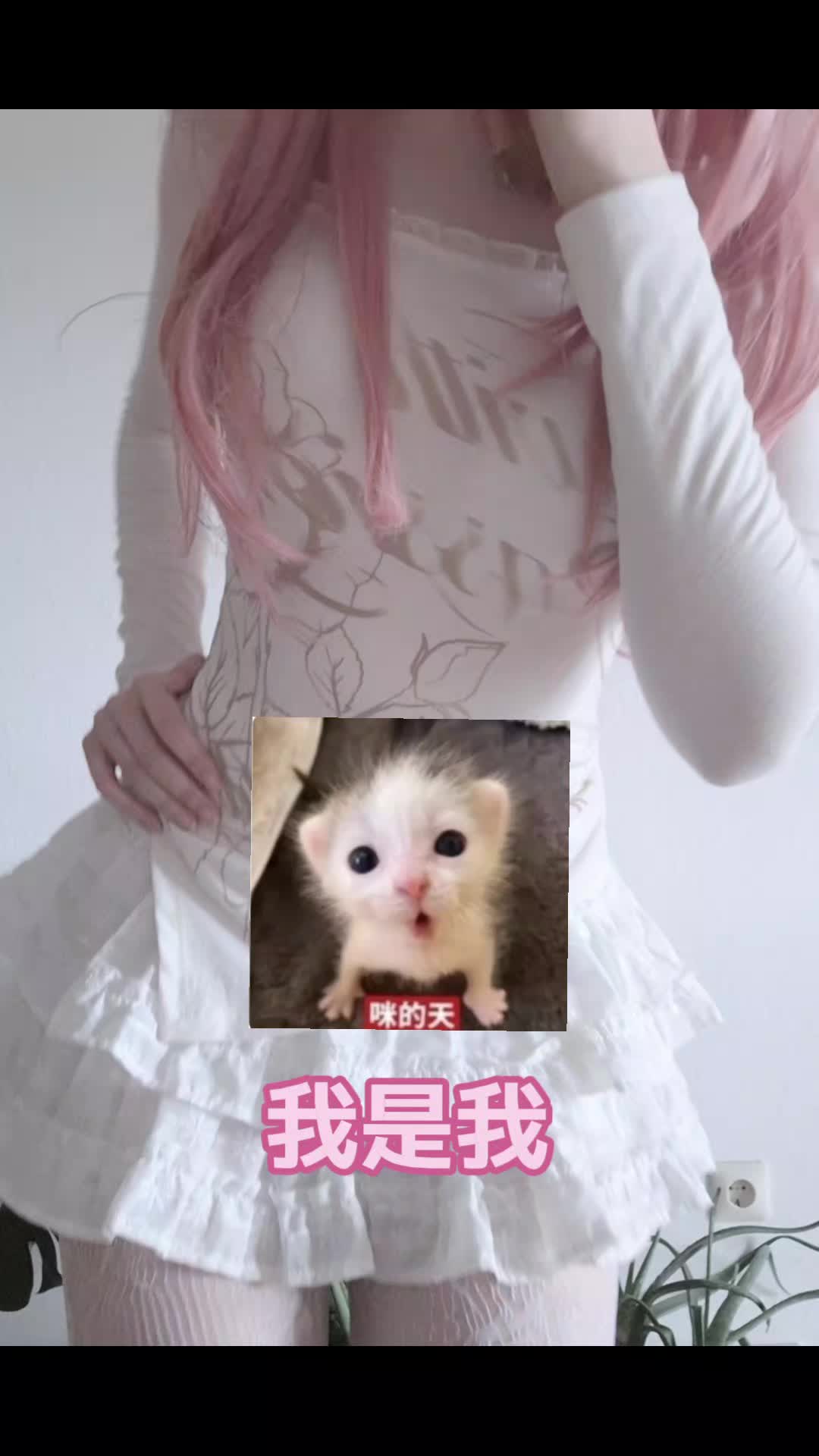 @𝓹𝓸𝓻𝓬𝓮𝓵𝓪𝓲𝓷 𝓴𝓲𝓽𝓽𝔂