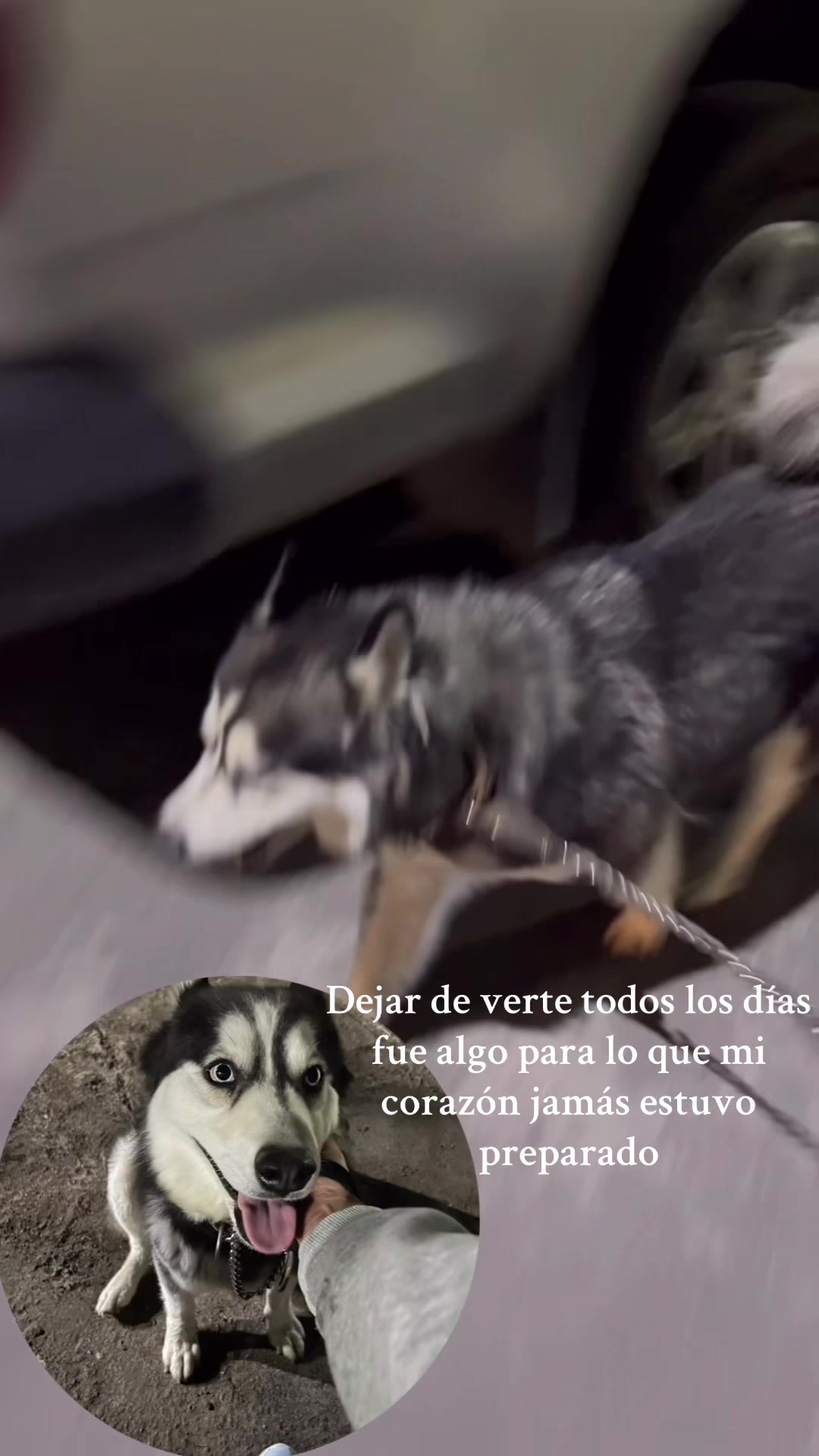 @Brenda Judith