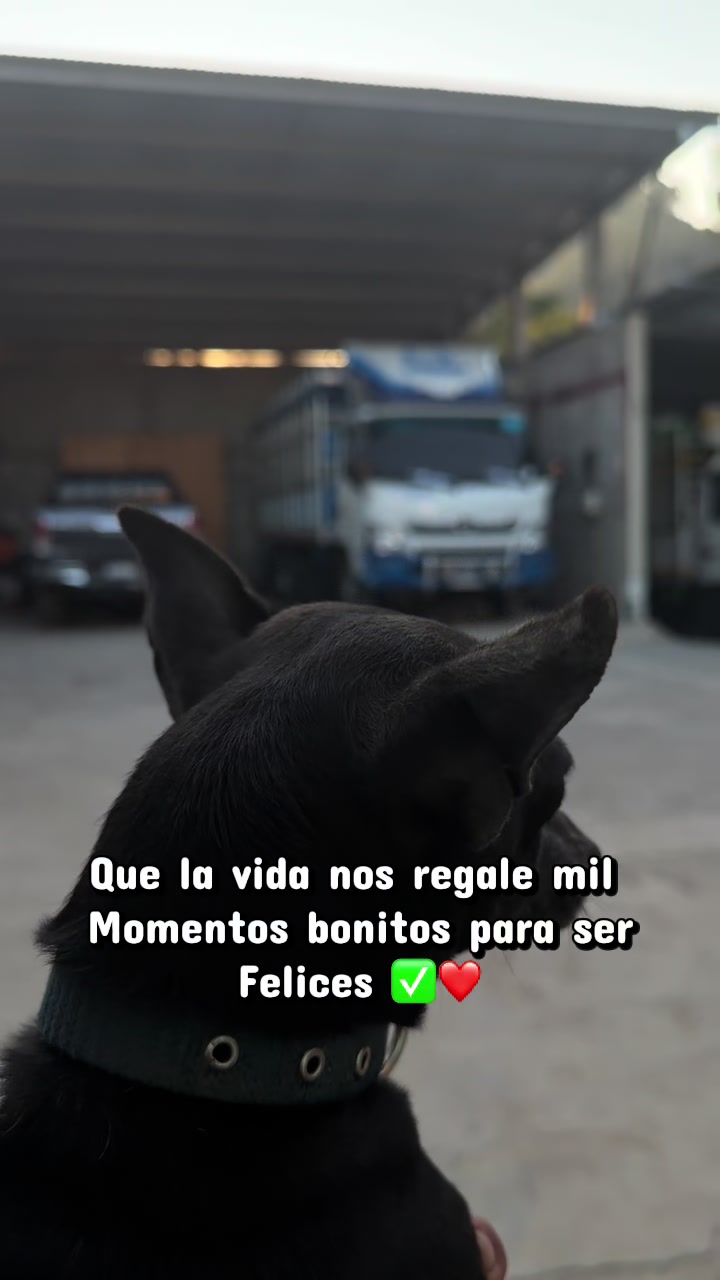 @JaimeSaldivar8958