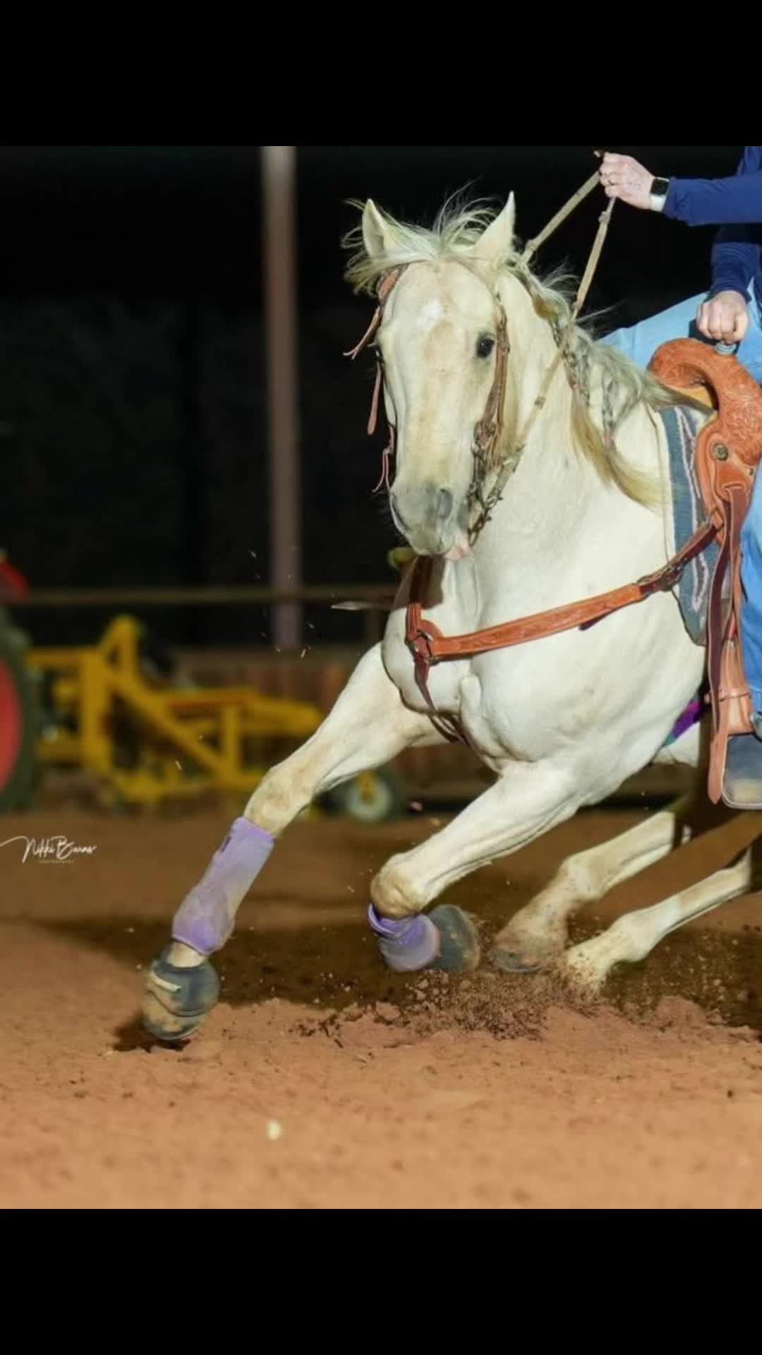 @haley&horses