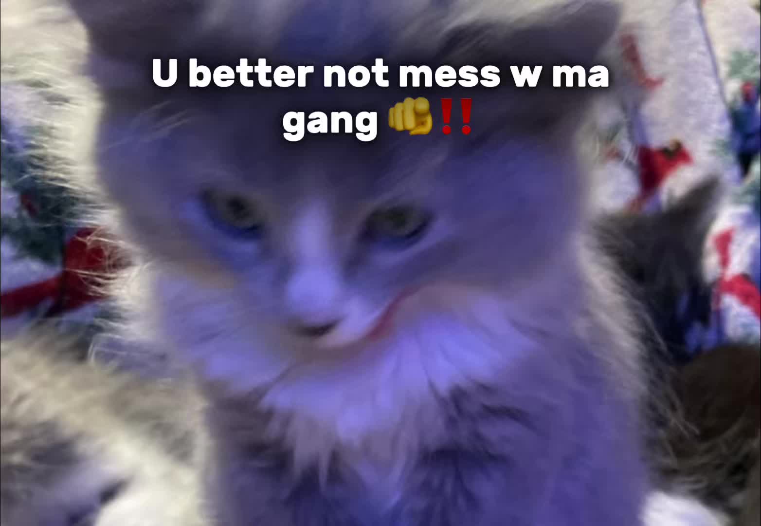 @MyMelody_Rants🤍🩷