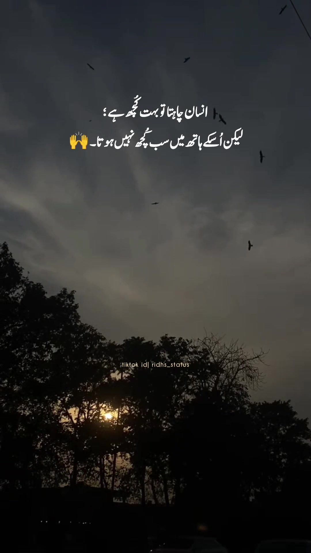 @R!dA...!