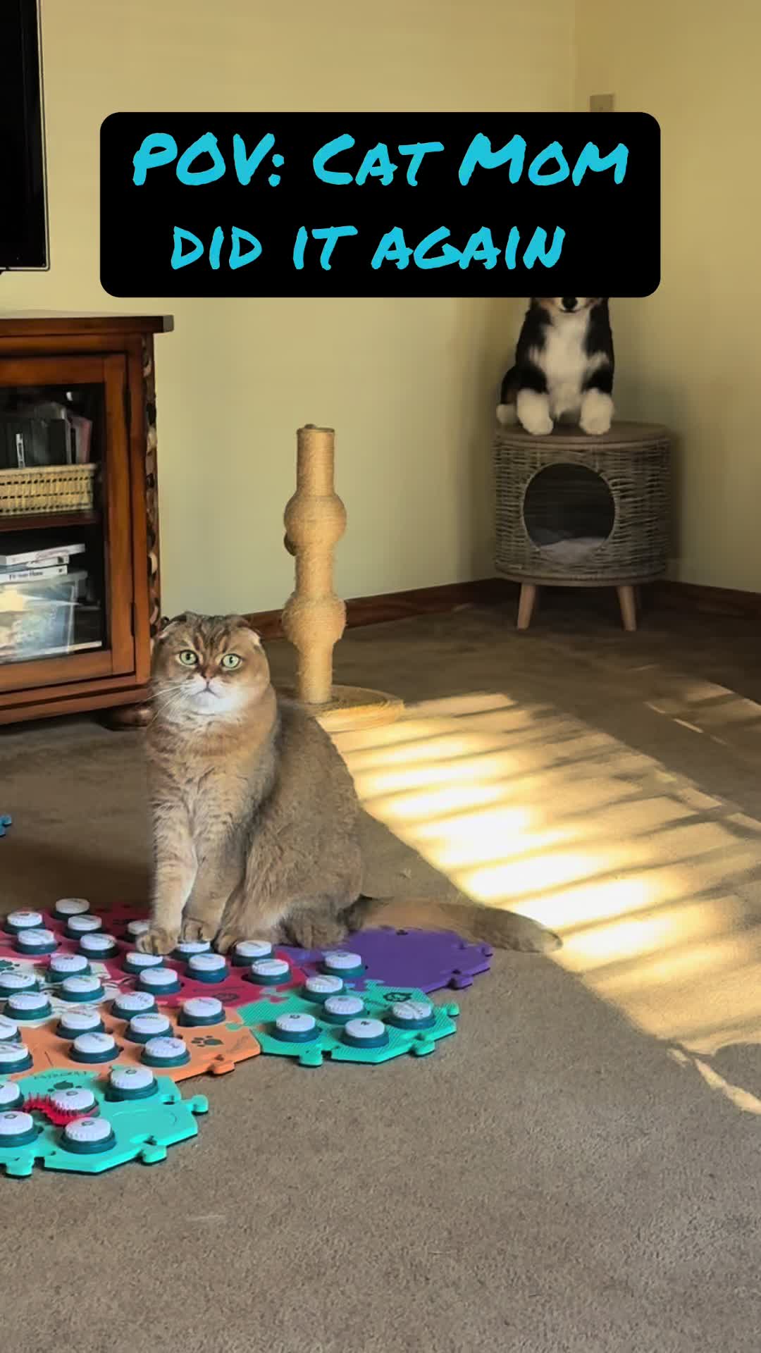@Puffindoestricks