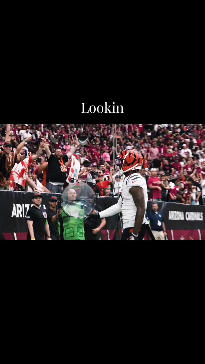@p5_reaper