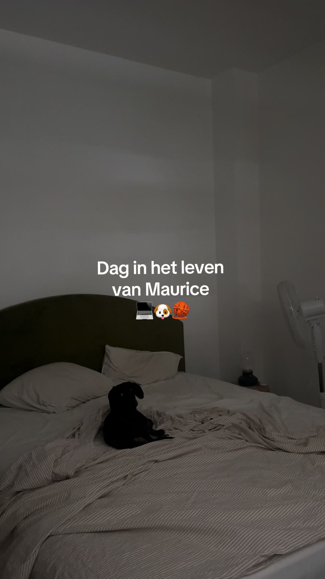 @Justfeelgood