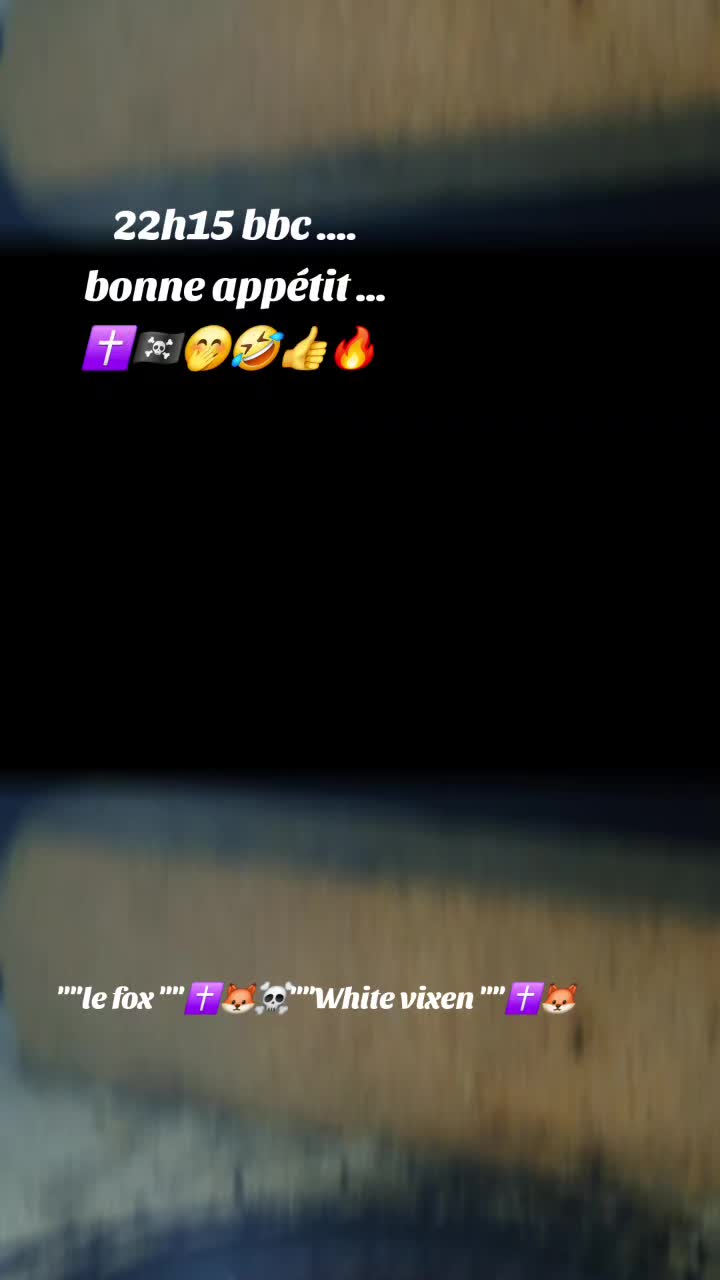 @🇫🇷Le fox✝️🦊☠️white vixen✝️