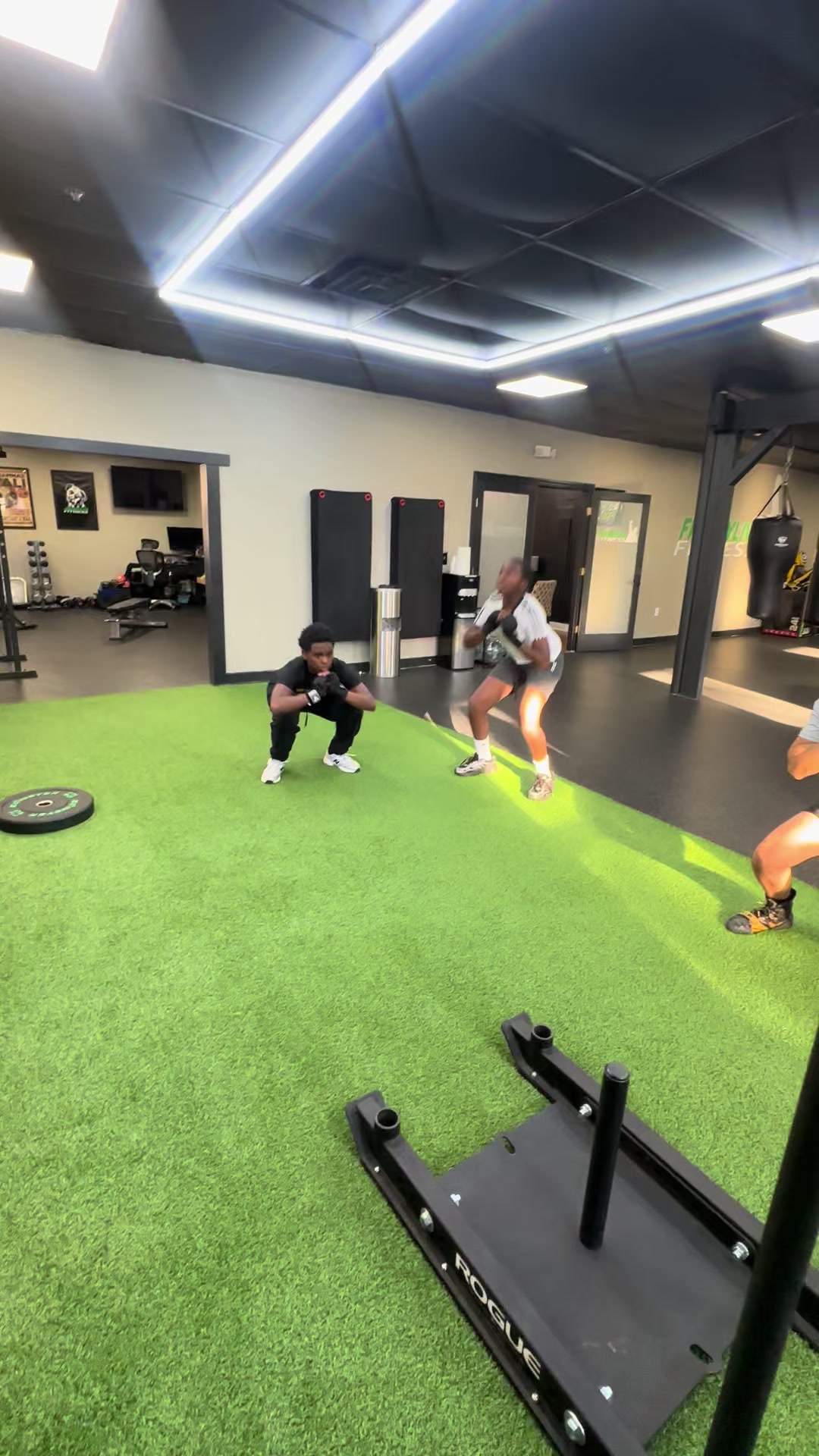 @Freddylive Fitness