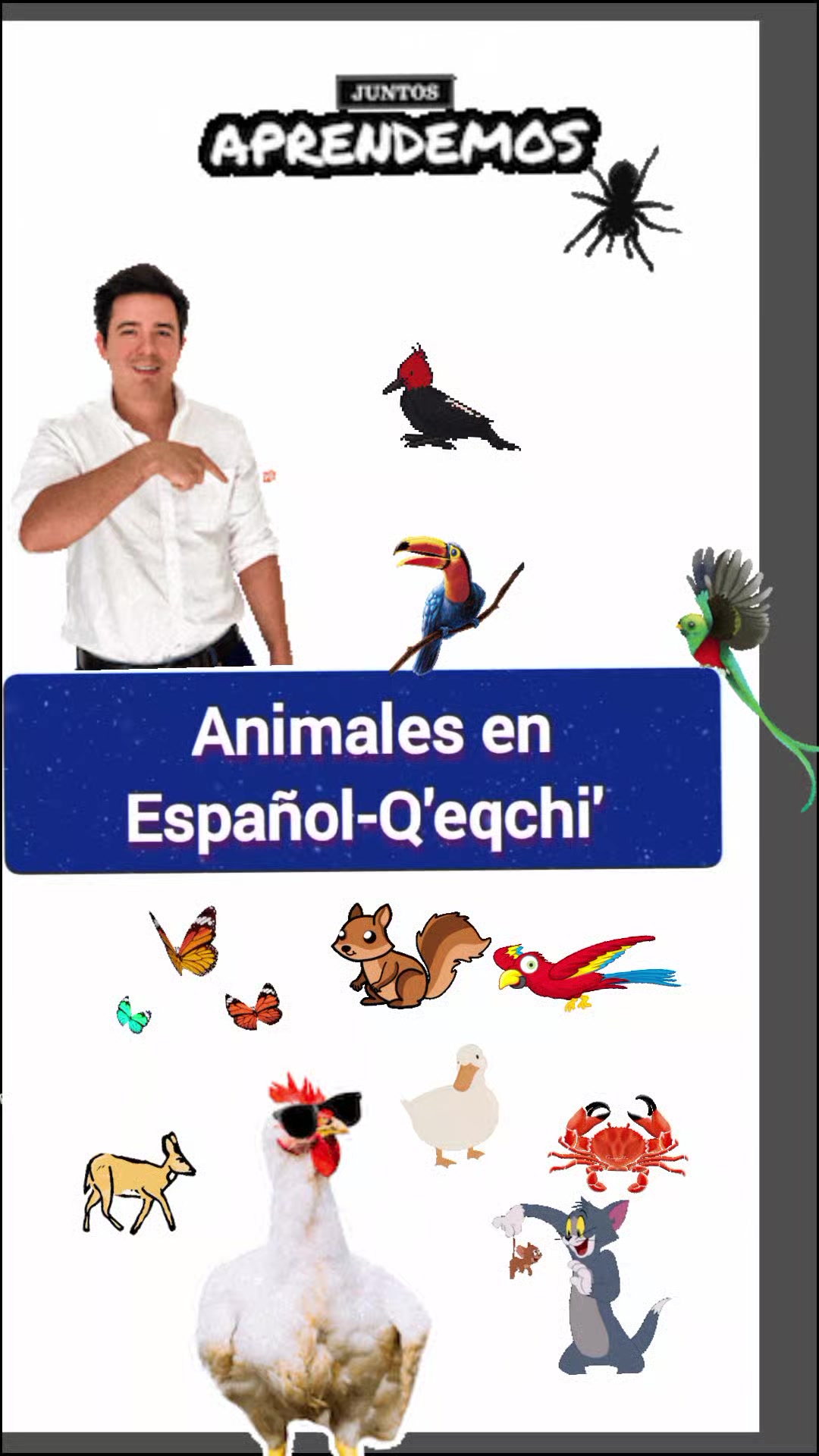 @Anibal🇬🇹