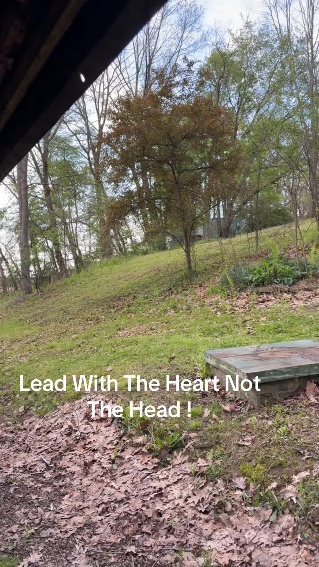 @Sara