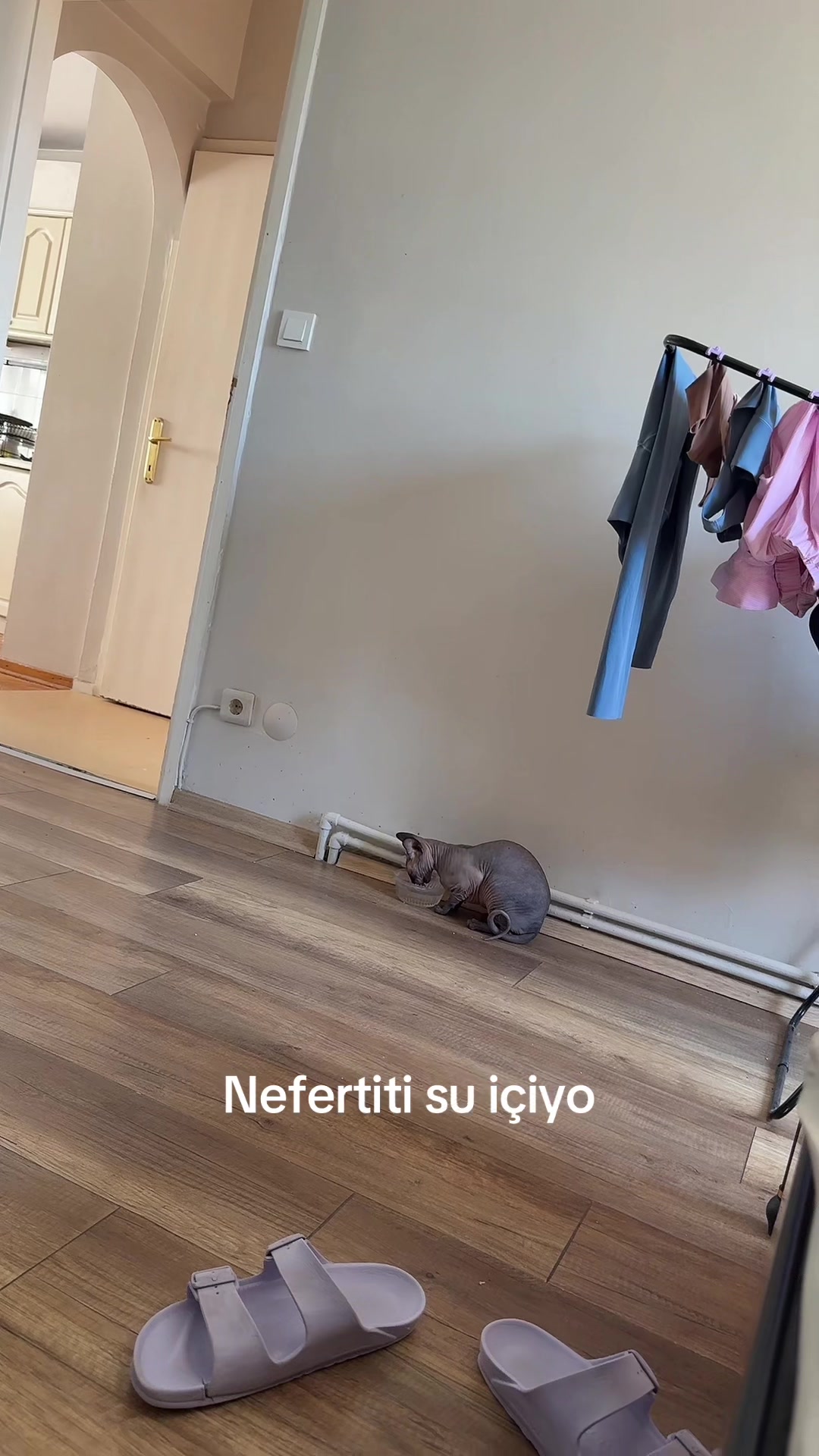 @Larin