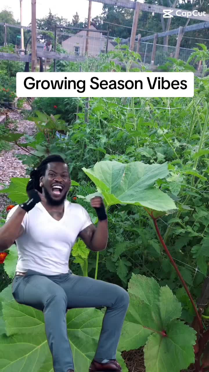 @Dr.D.PhD
