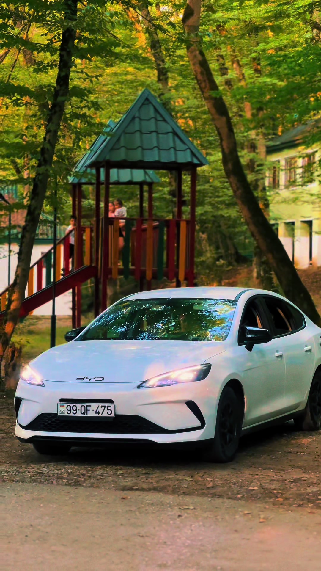 @DİMA ✅️