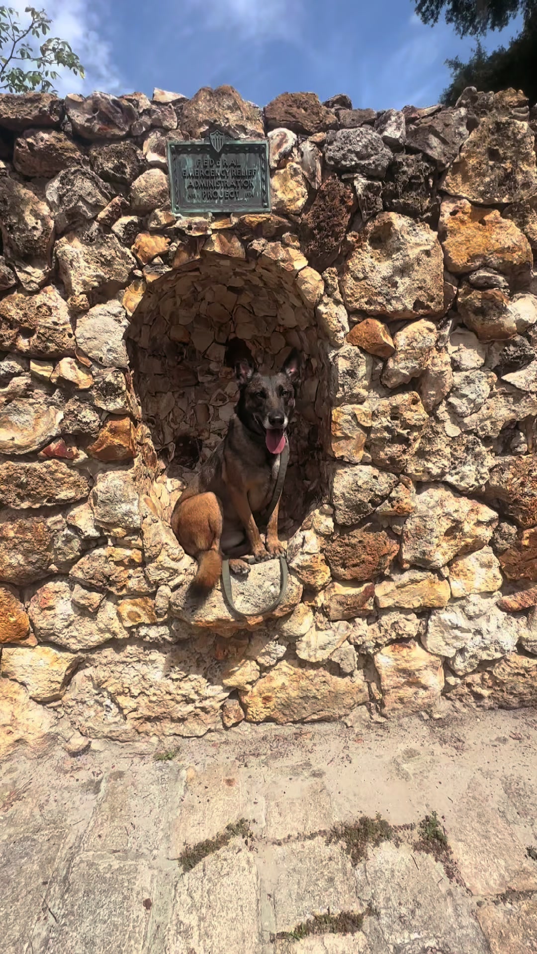 @K9.corporal