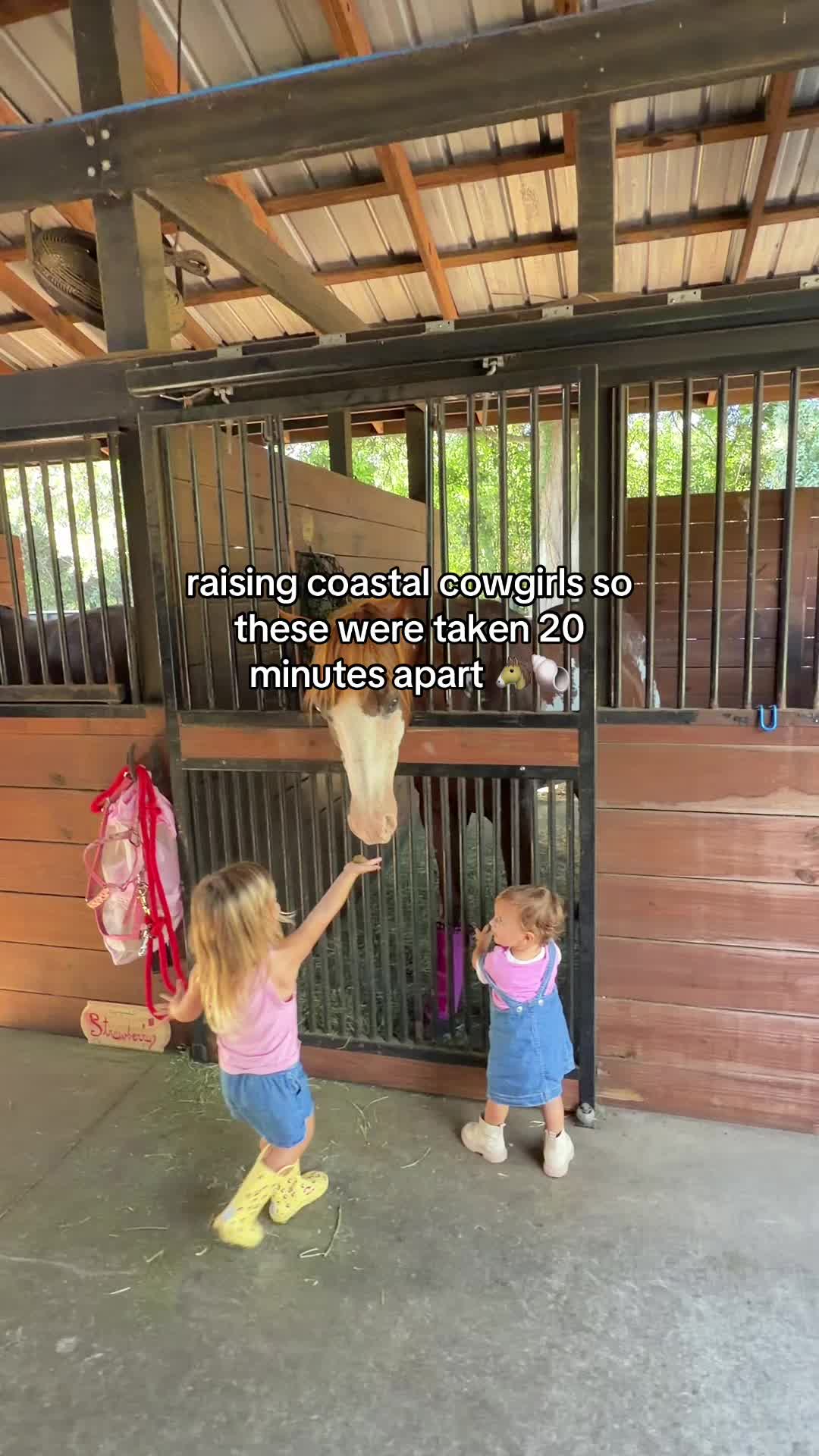 @Clara