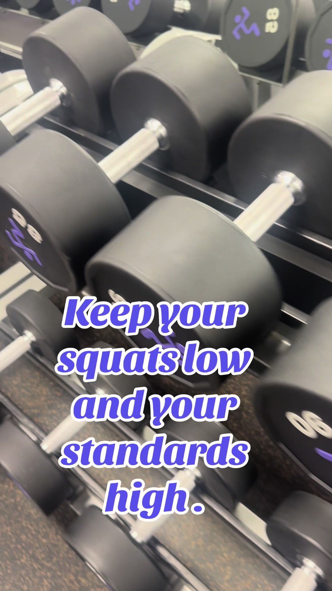 @Gymhub official