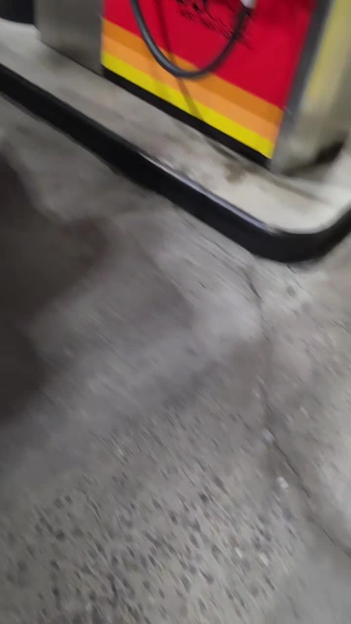 @ROBERTO FARIAS