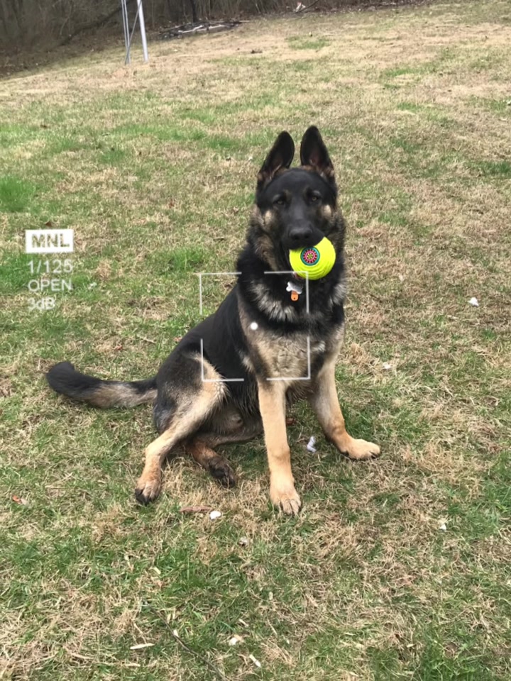 @MERCURY_GSD_24_7