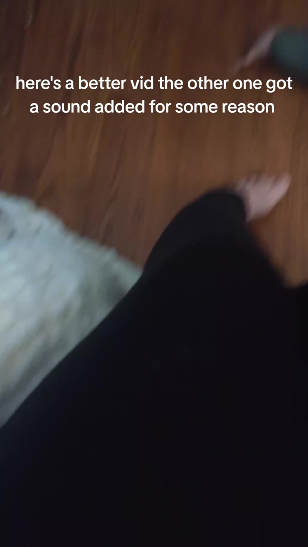@sammich