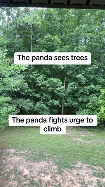 @theo.tha.redpanda