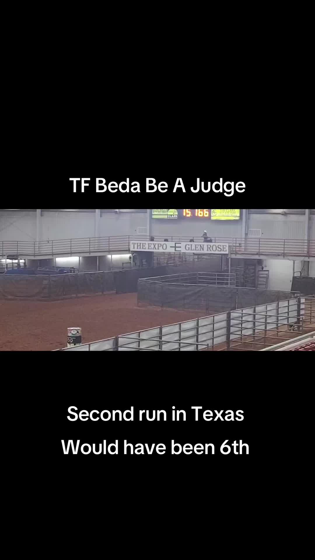 @TF Performance Horses