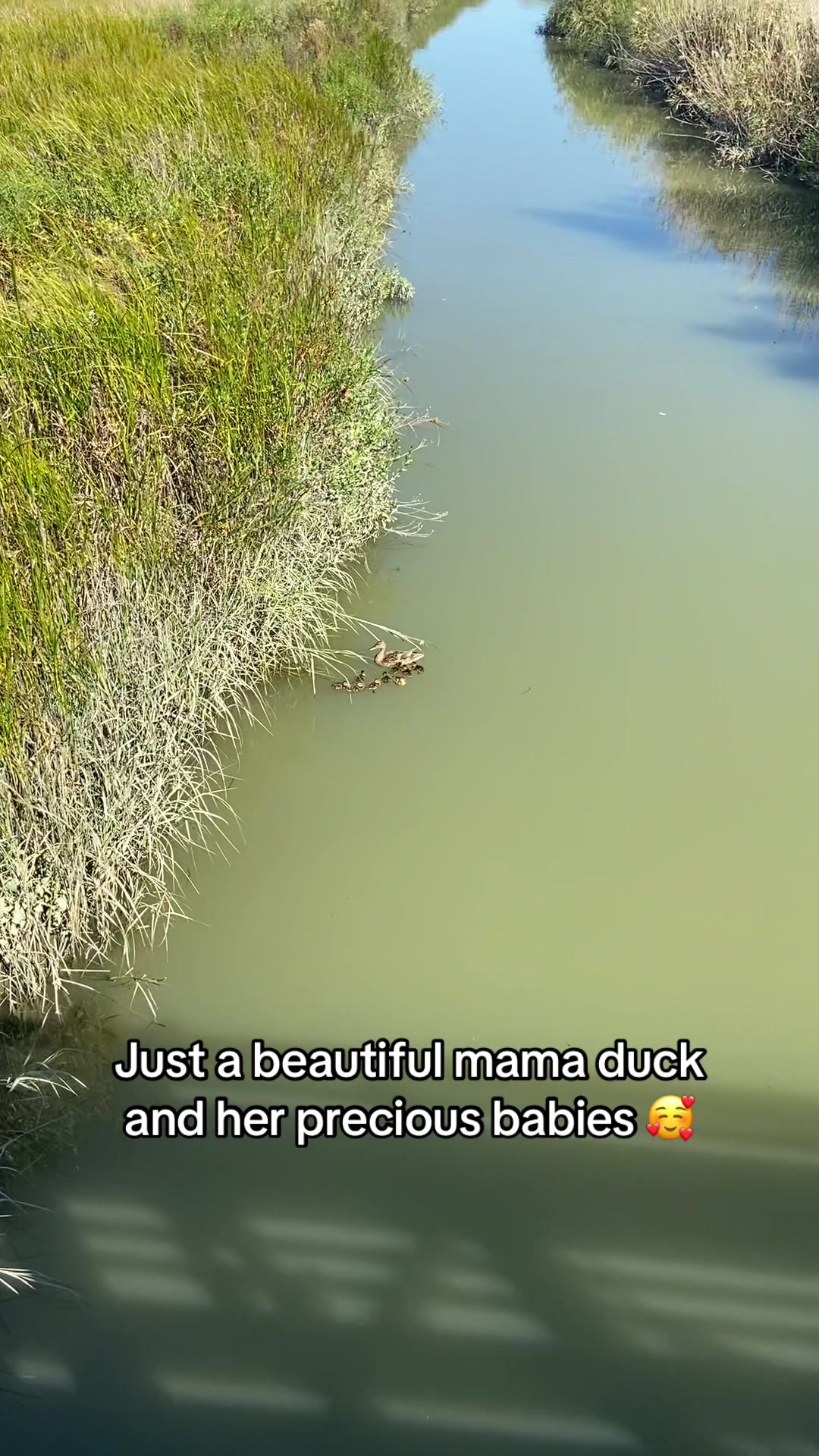 @Leto&rsquo;s Maternity Isle