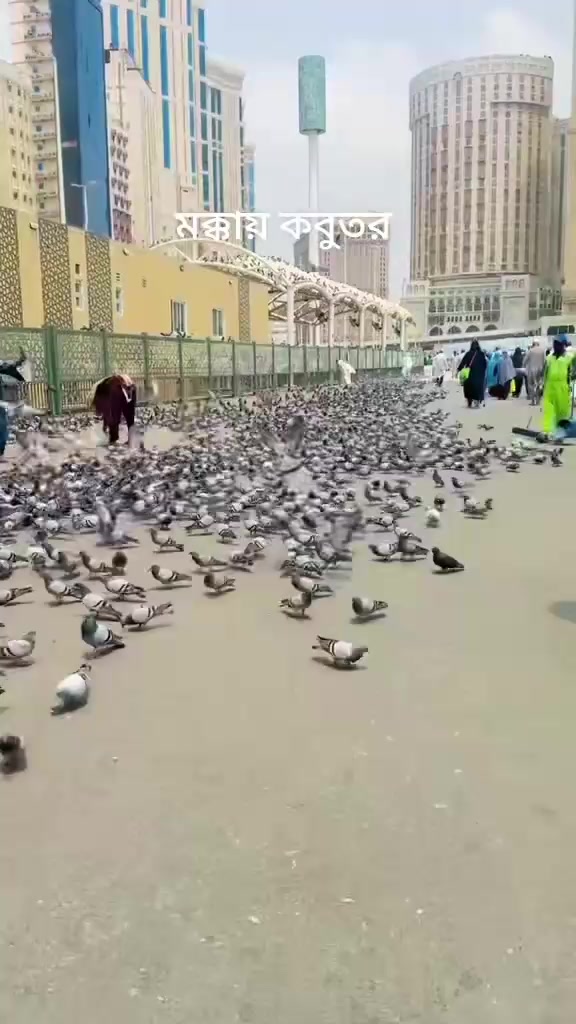 @আমার দুই ছেলে আলহামদুলিল্লাহ