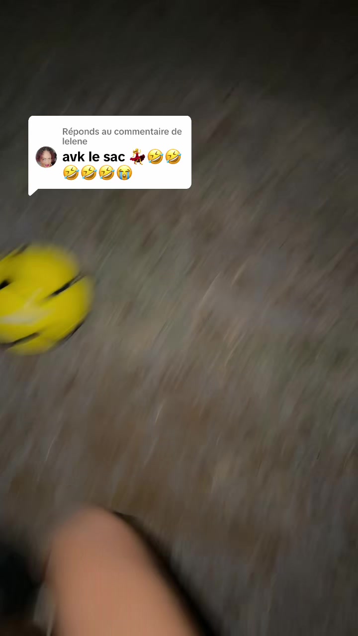 @meermeid2