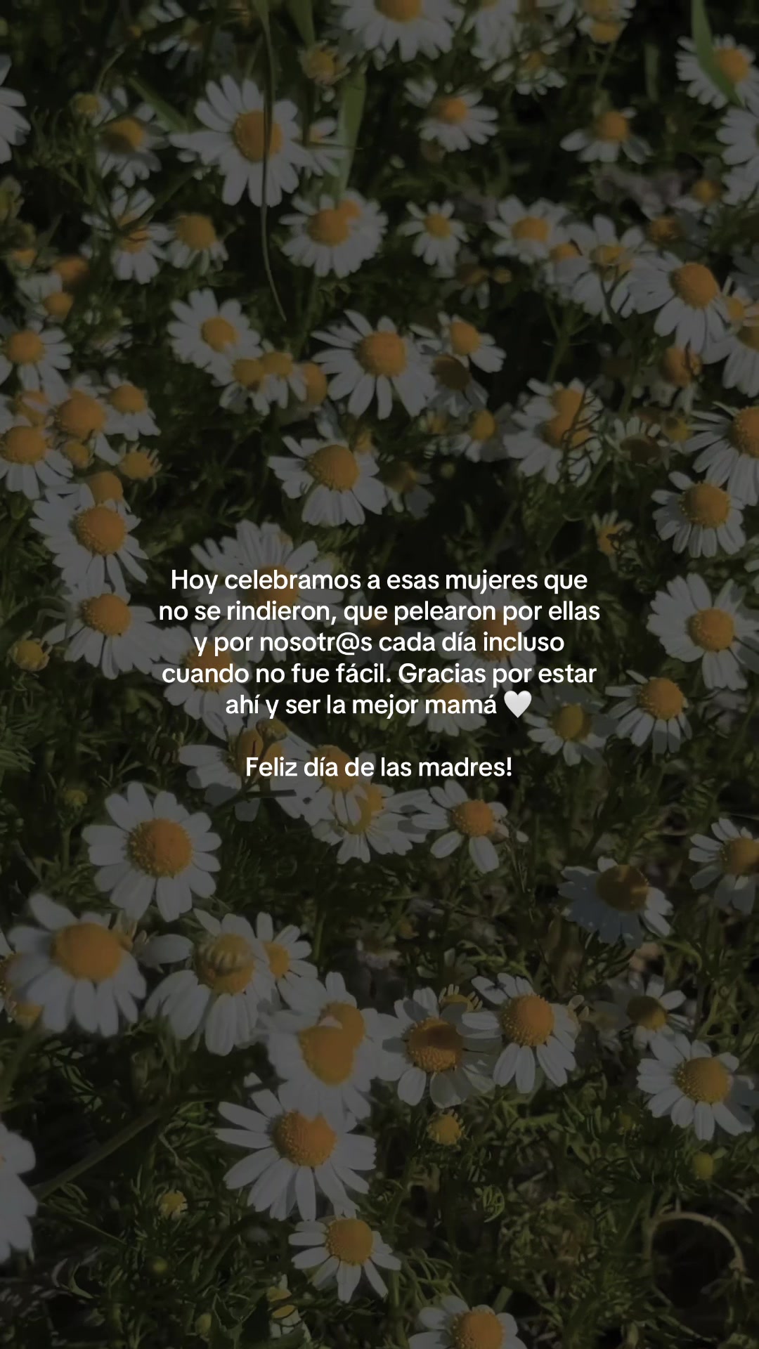 @vidabonita❤️&zwj;🩹