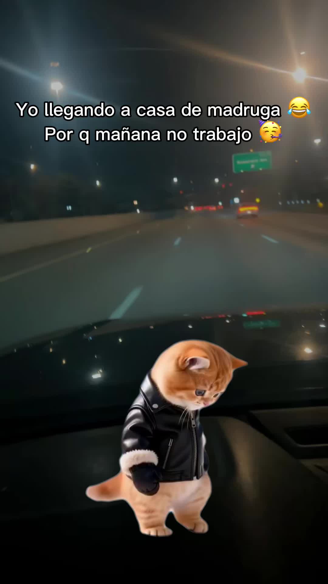 @Ani Garcia🥷 ⚾️💙