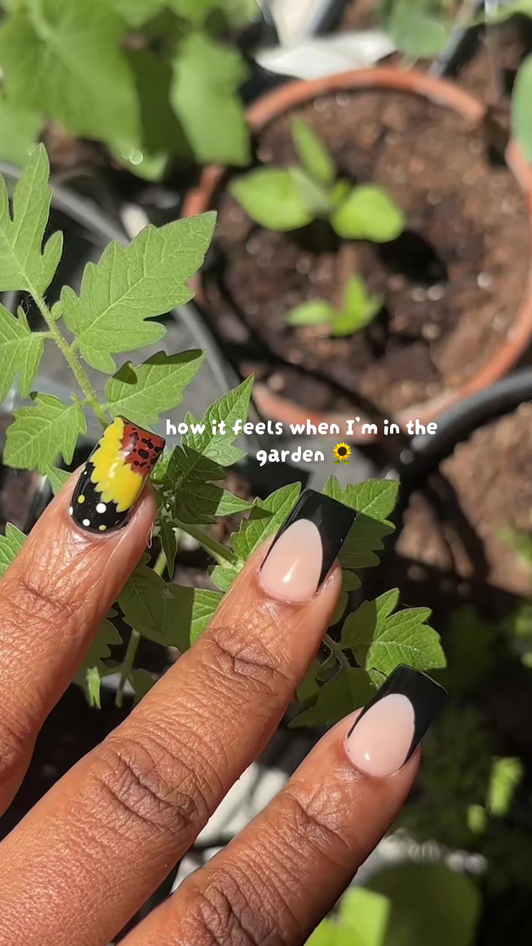 @literallyli nicole 🖤🌻