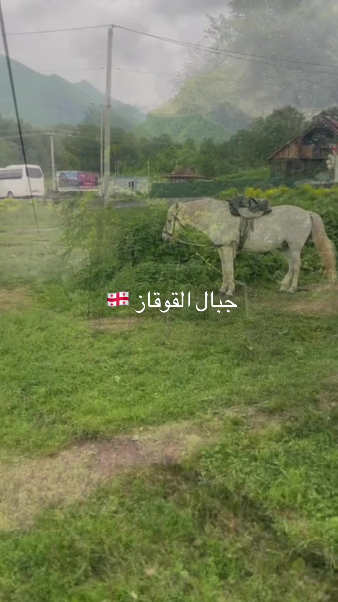 @Dos دوس