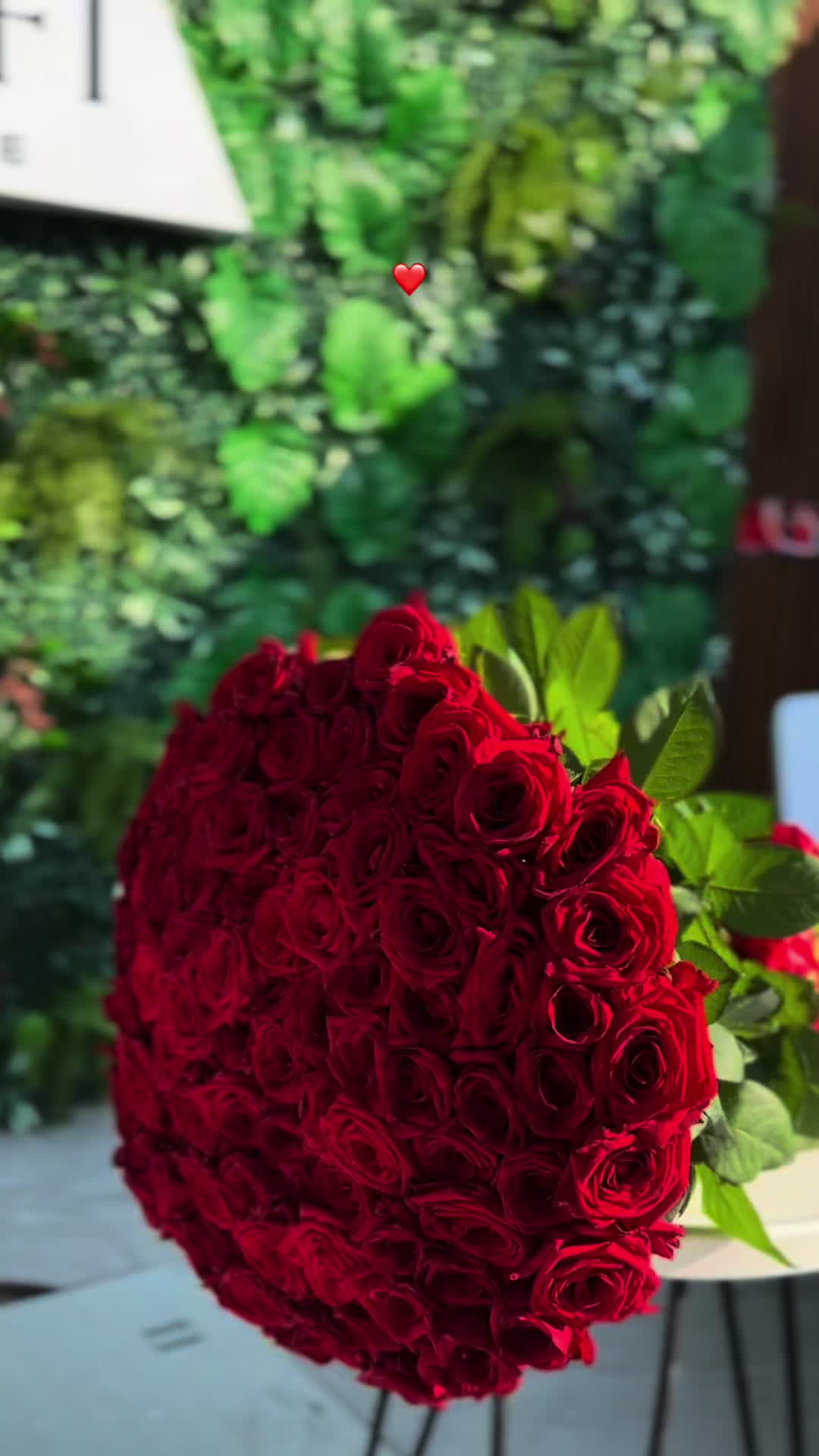 @priivvx06