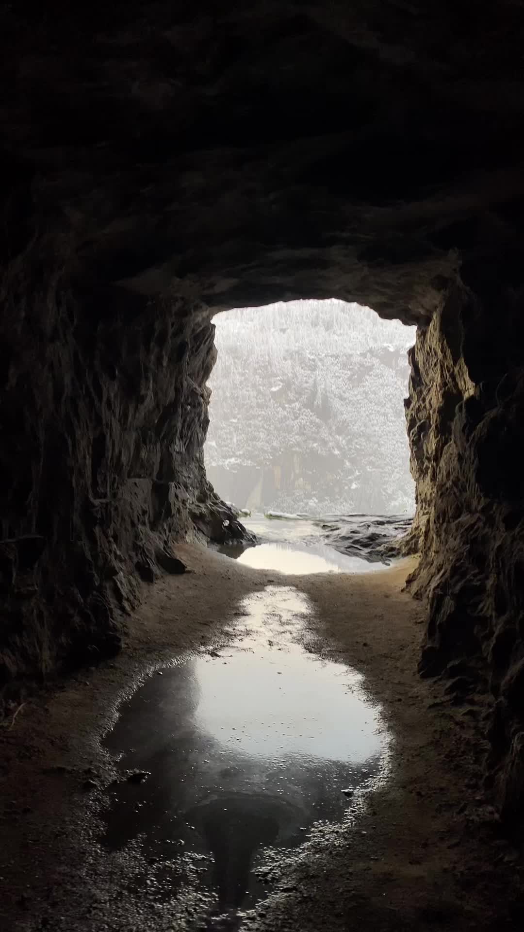 @SitDownandVibeWithMe