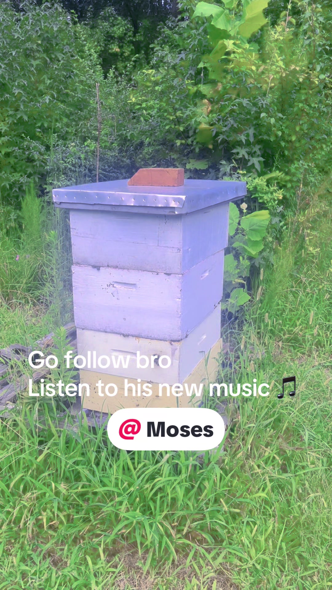 @𓄂ᬼ𓆃Oza 𓄂ᬼ𓆃