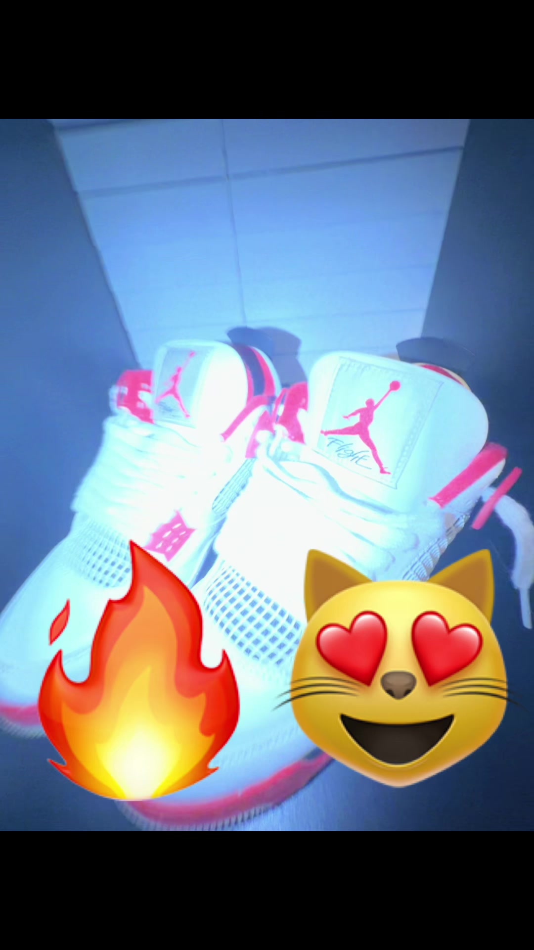 @๐๐ช๐๐4๐ฃ ๐ซ