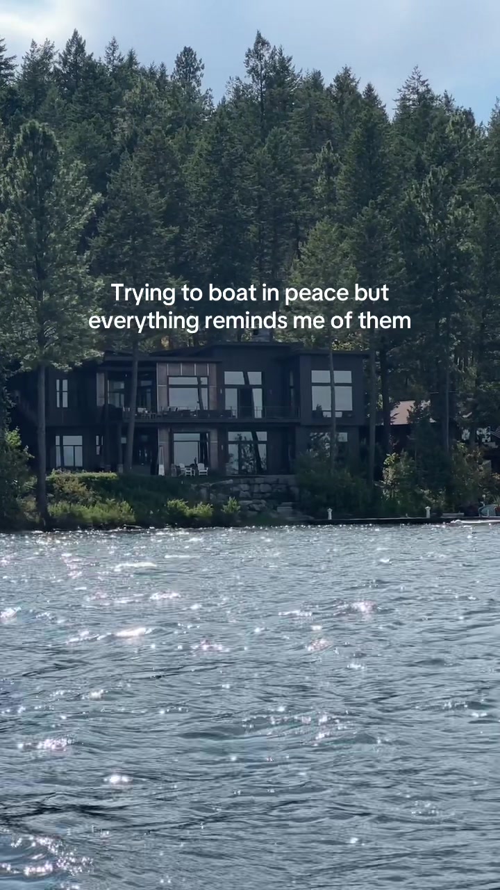 @avs
