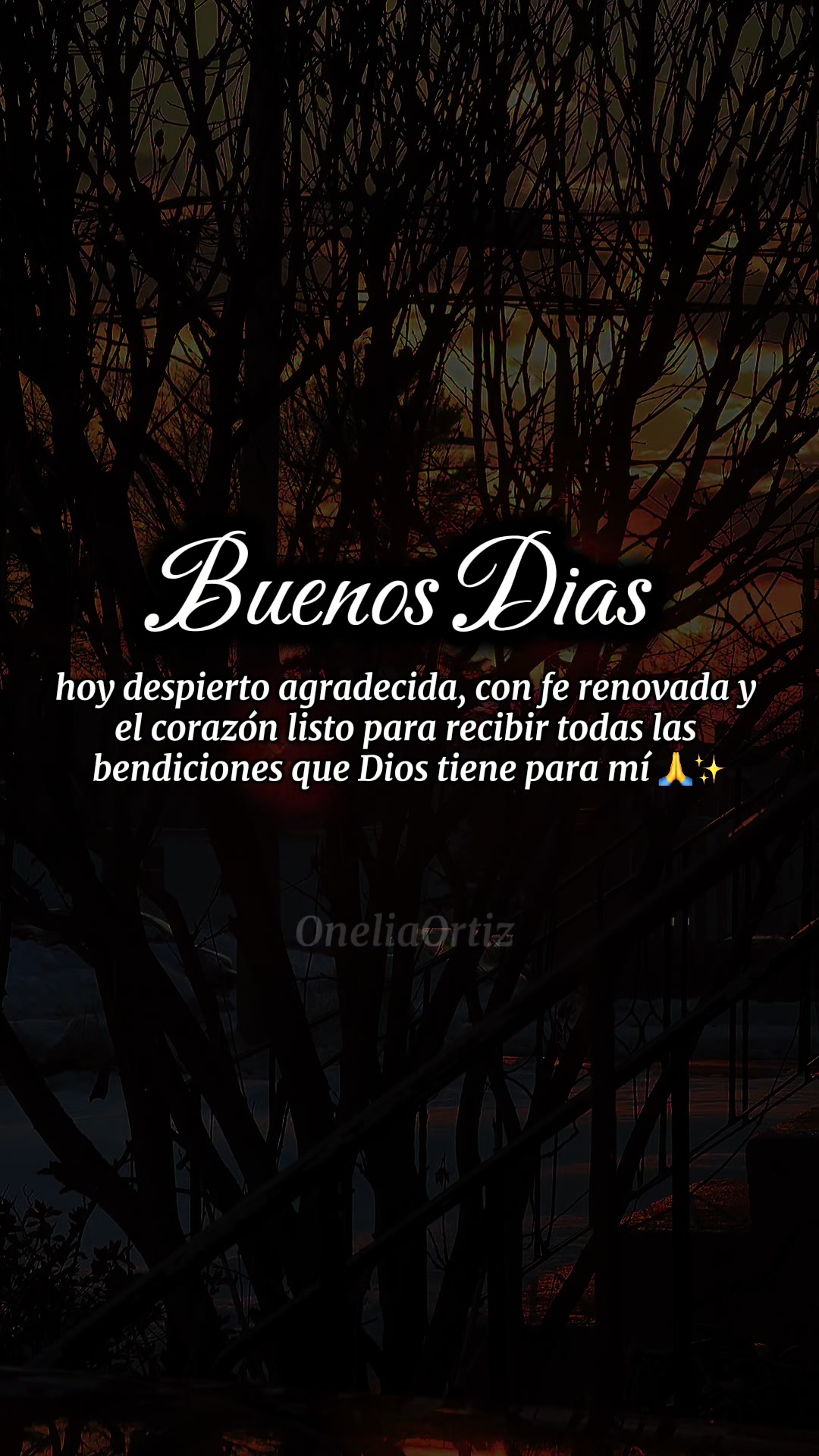 @oneliaortiz22