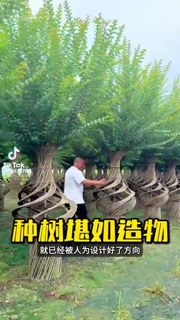 @剑走偏锋