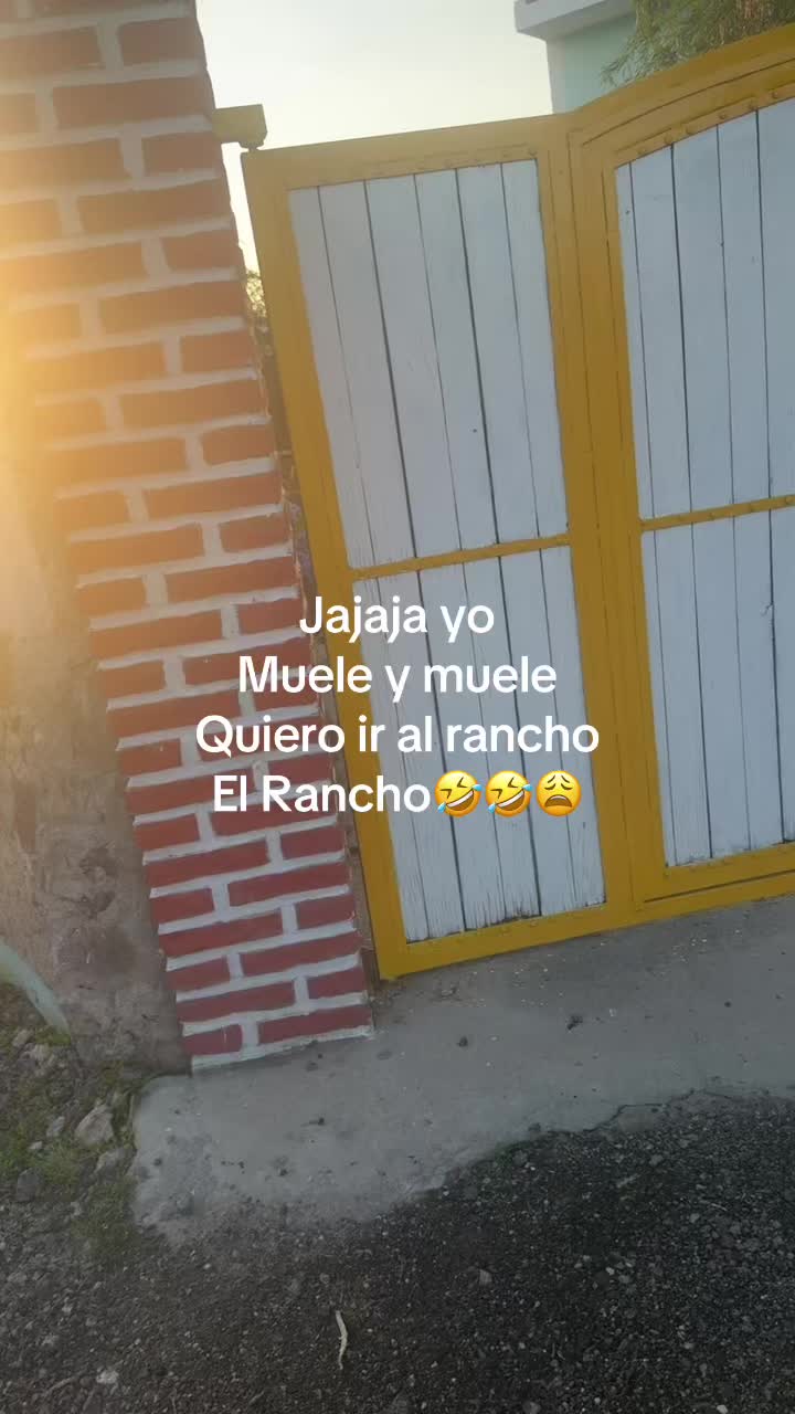 @🫧M&oacute;nica 👑🌸✨✨🫧