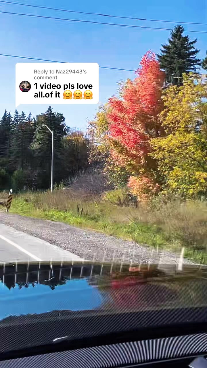 @Ahmed 🇨🇦