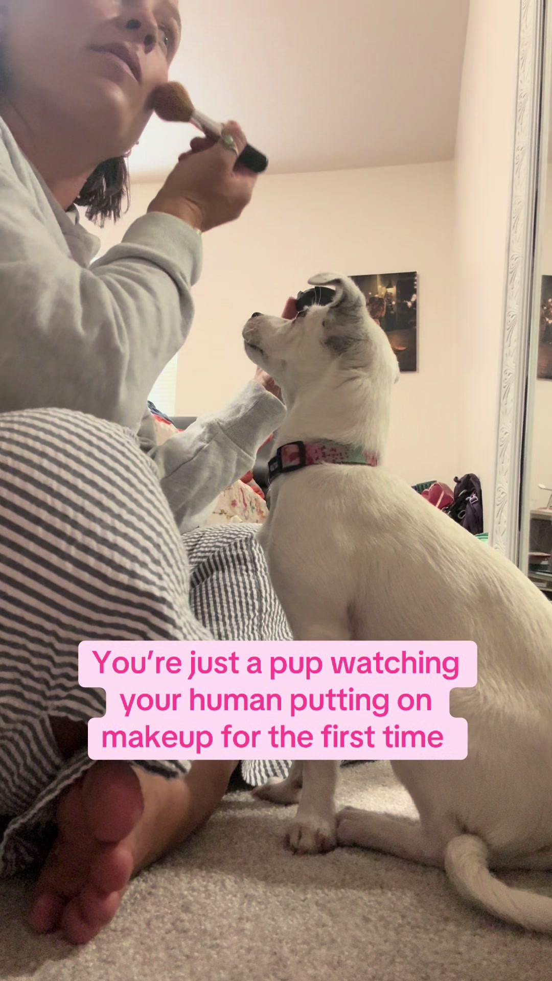 @slowdayzwithdogs