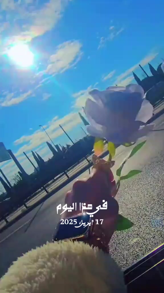 @⭐❤️غزل❤️⭐