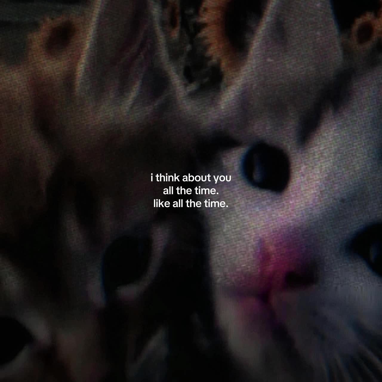 @.