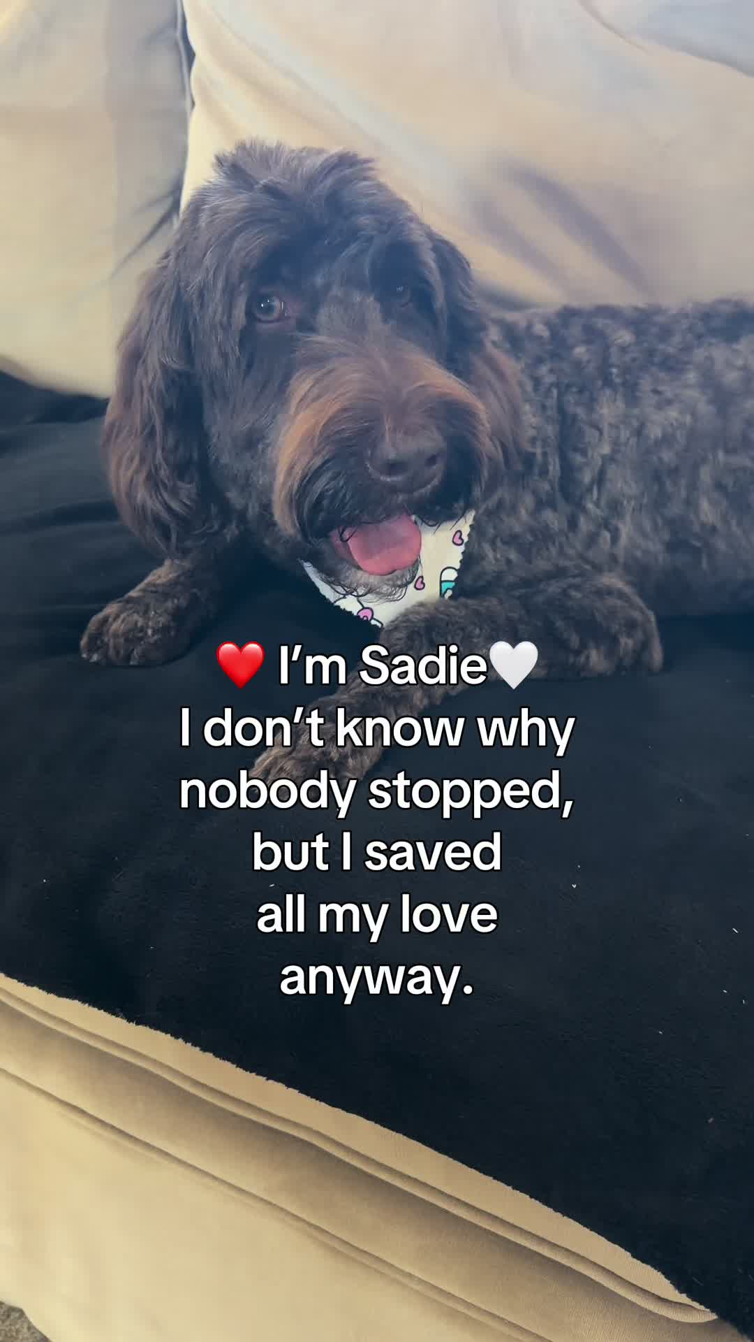 @Sadie the Doodle
