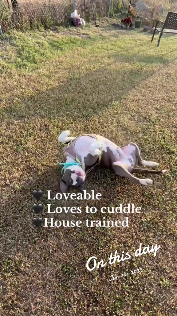 @caponethepitty