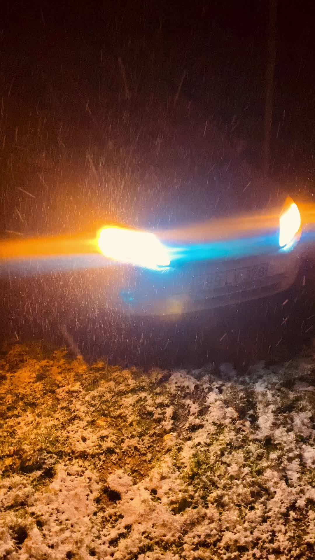 @Talıbov 