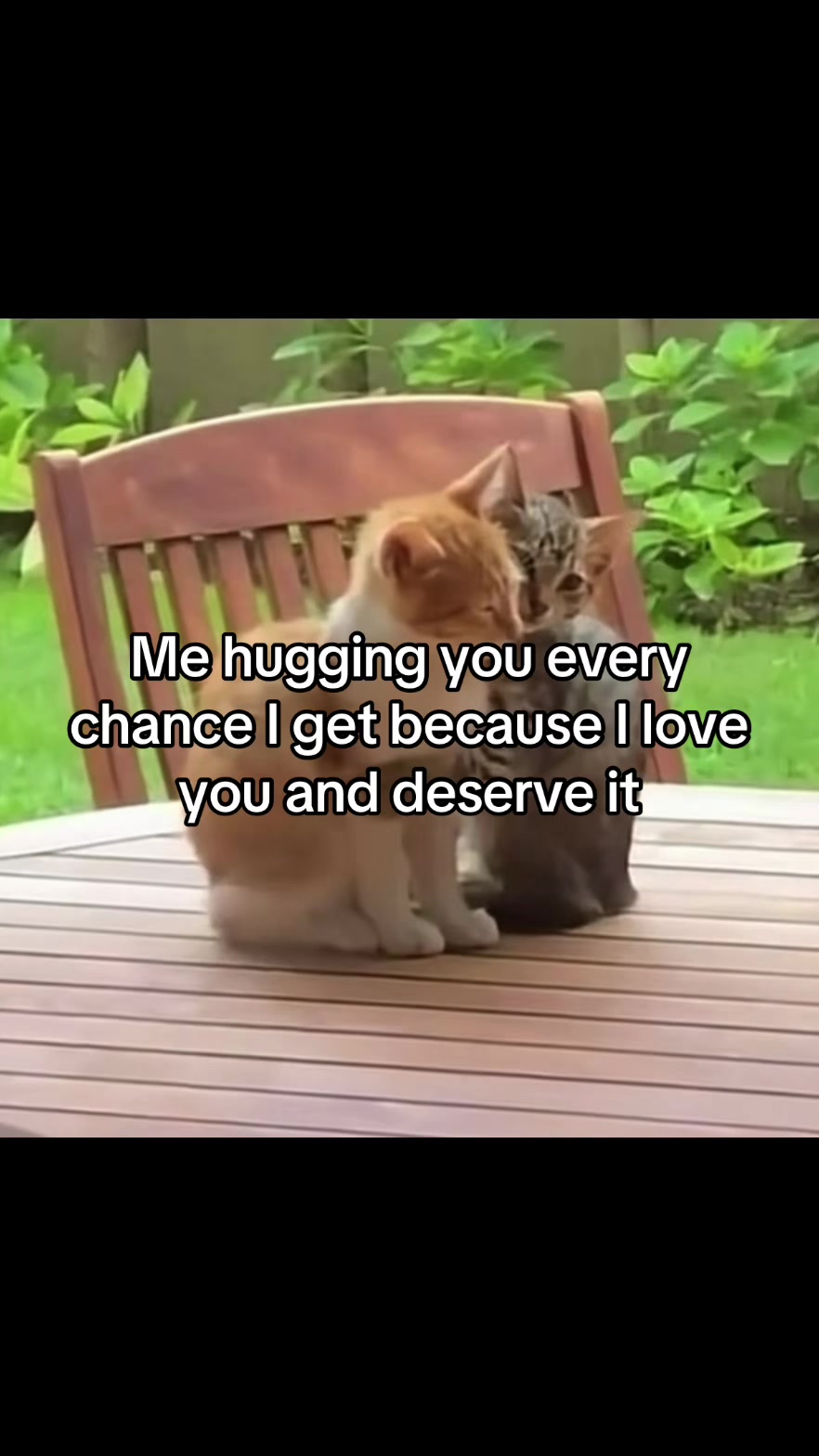@LavanderCat