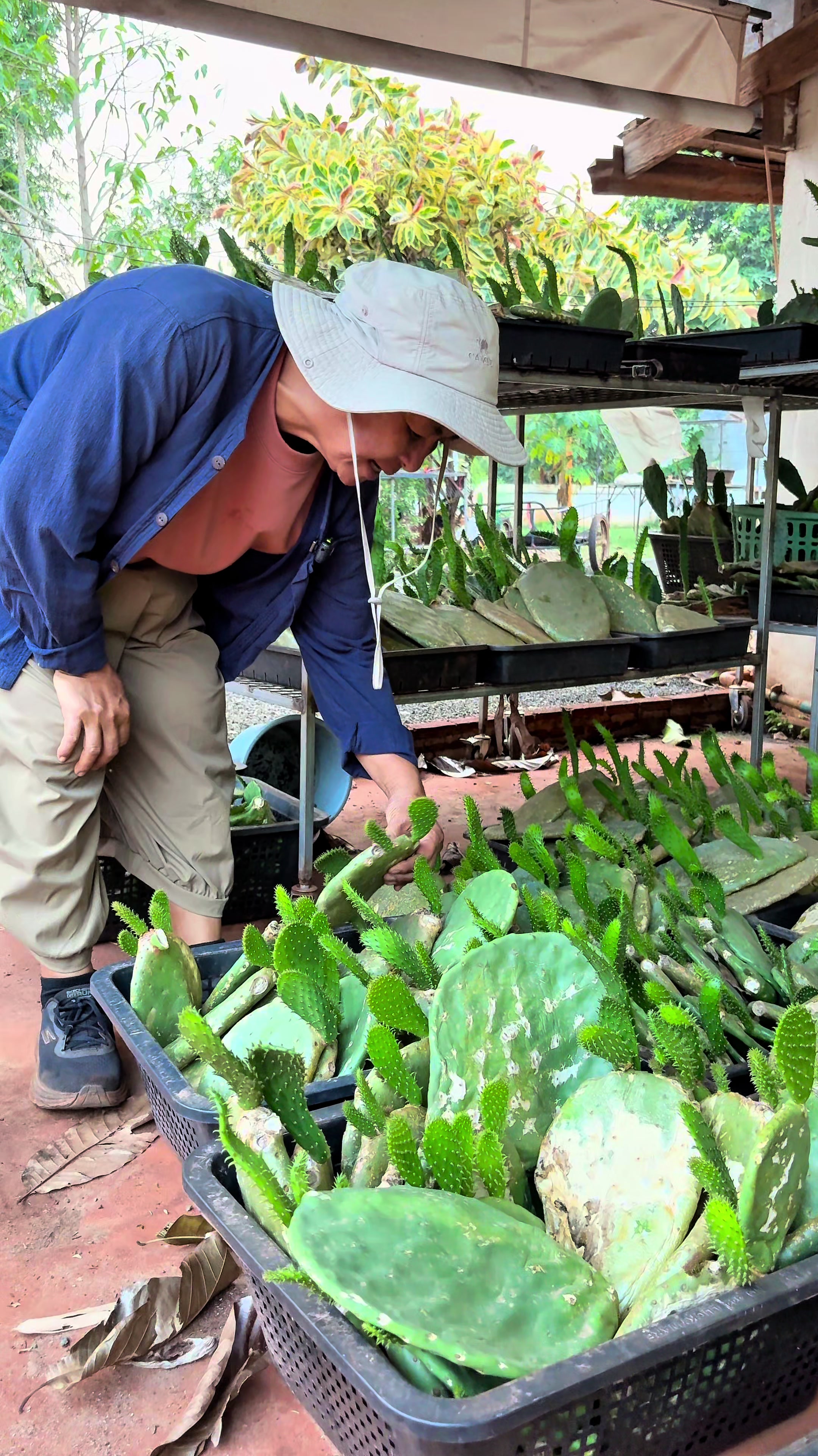 @ไร่วันยังขำ Oneyoungkham farm
