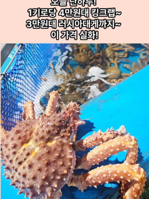 @킹크랩 대게 동해수산유통