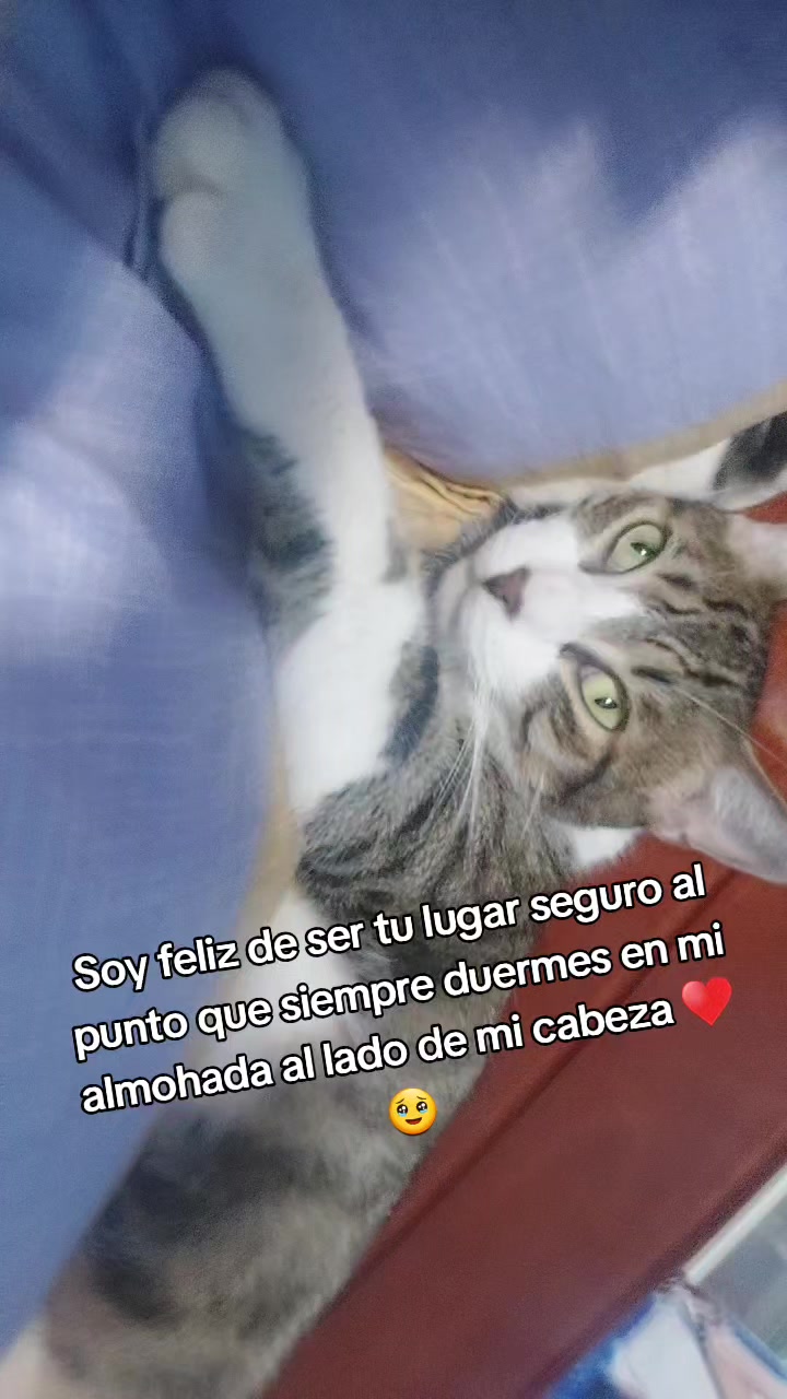 @Yargelis Susana